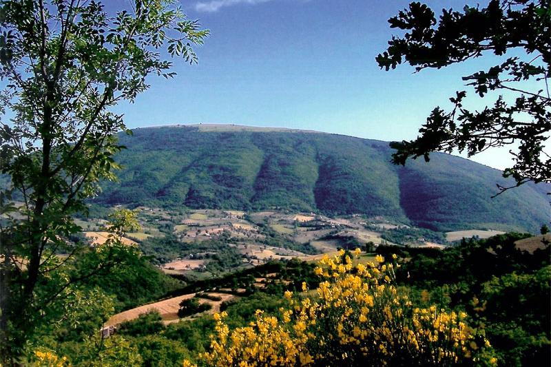 Monte Subasio: paradise of wild herbs
